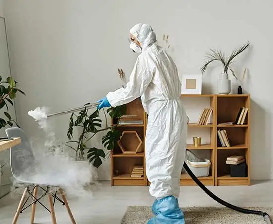 Commercial Rodent Proofing